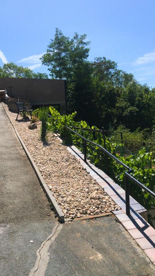 Schlossberg Apartments & Garten In Der Natur & Unweit Vom "Thueringer Meer" Unterwellenborn ภายนอก รูปภาพ
